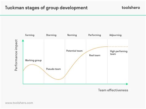 tuckmans stages  group development explained theory  criticism