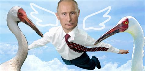 Vladimir Putin Pilots Hang Glider In Attempt To Lead Siberian Crane