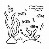 Inhabitants Underwater Colorings Algae Isolated Piante Colorare Abitanti Subacquei sketch template