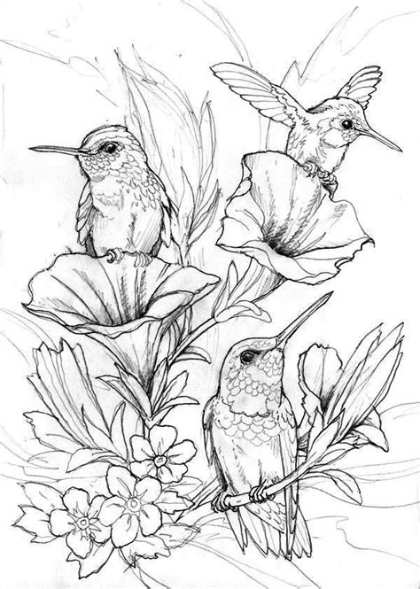 coloring pages hummingbirds flowers