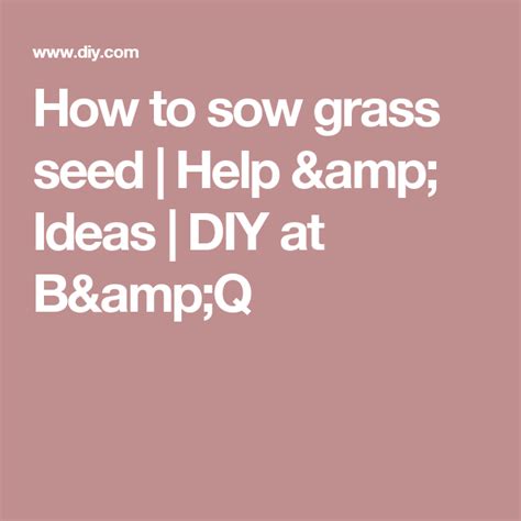 sow grass seed  ideas diy  bq