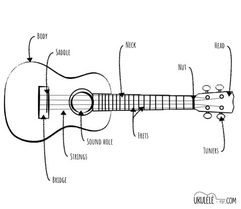 parts  ukulele lesson   ukulele