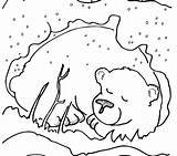 Hibernation Getcolorings Hibernating sketch template