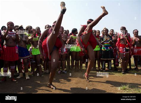 zulu maidens zulu reed dance fotos und bildmaterial in hoher