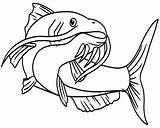 Bluegill Drawing Coloring Getdrawings Catfish sketch template