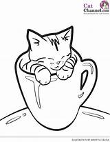 Cat Pages Coloring Scary Color Getcolorings sketch template