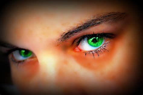 Green Eyed Lady Photograph By Rebecca Frank