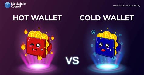 hot wallet  cold wallet blockchain council
