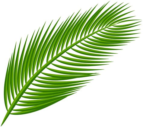 palm leaf outline clip art
