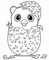 Coloring Hatchimals Pages Hatchimal Hamster Colleggtibles Kids Colouring Printable Sheets Print Bestcoloringpagesforkids Animal Tsgos Choose Board Children sketch template