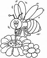 Coloring Bee Flower Pages Pollination Spring Colouring Flowers Sheet Color Kids sketch template