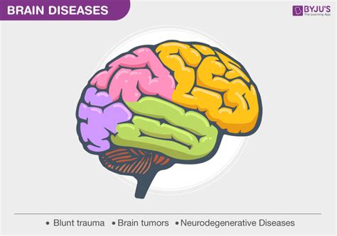 brain diseases types  symptoms   treatment