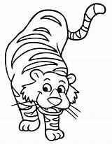 Coloring Tiger Pages Printable Cat sketch template