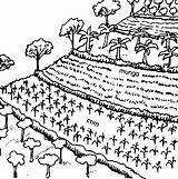 Erosion Drawing Crops Farming Land Contour Permaculture Agricultural Vetiver Agriculture Control Vegetable Garden Getdrawings Swc Technology Farms sketch template