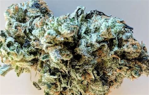 hybrid strains   enjoyable hybrid weed strains