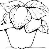 Strawberries Coloring Pages Post sketch template