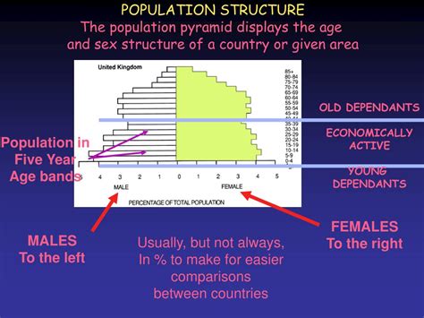 ppt world population dynamics powerpoint presentation free download