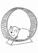Hamster Colorir Momjunction sketch template