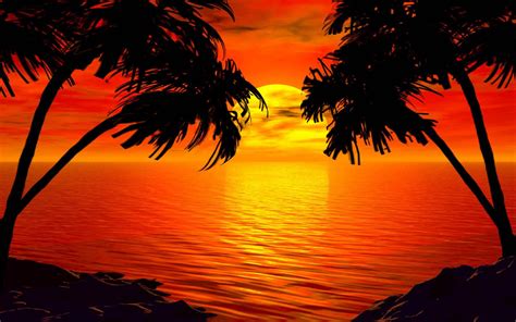 tropical island sunset wallpaper  images