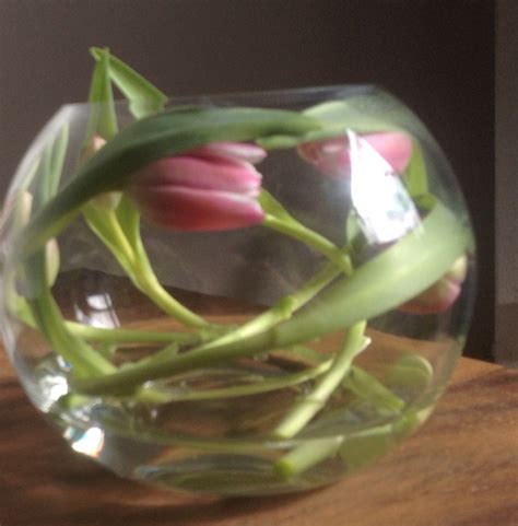tulpen rond  een vaas vaas tulpen decoratie
