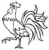 Rooster Drawing Coloring Drawings Crowing Cartoon Pages Fighting Beautiful Color Farm Colouring Roosters Animal Outline Simple Kids Chicken Line Print sketch template