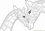 Giraffe Coloring Pages Baby Printable Mother Head Drawing Cute Funny Kids Elephant Outline Color Adults Animal Microscope Light Compound Getdrawings sketch template