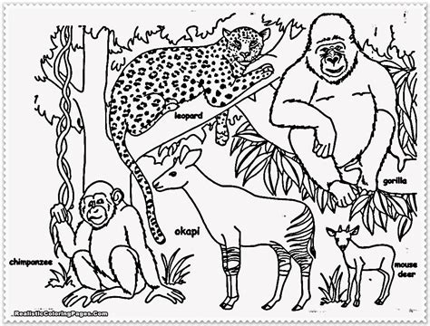 jungle coloring pages    print