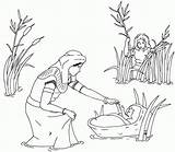 Coloring Moses Baby Pages Kids Activity Story Amp 7th Remnant Red Popular Library Clipart Coloringhome Line sketch template