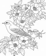 Coloring Pages Flower Printable Bird Adult sketch template