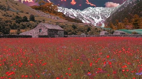 cottage  flowers field  background  mountain hd