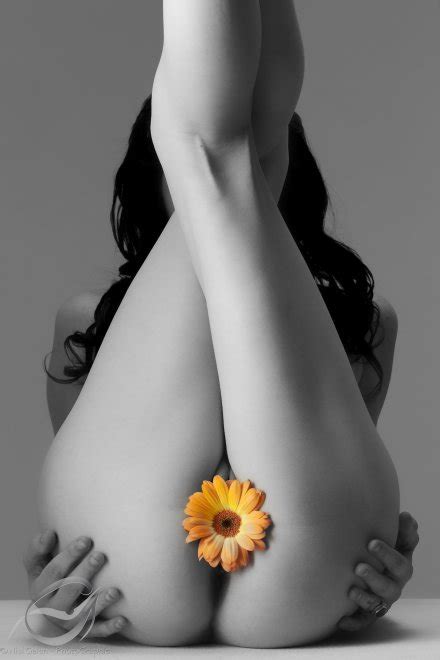 sunflower porn photo eporner