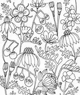 Coloring Pages Flower Color Botanicals Doodles Colouring Doodle Sheets Just Add Floral Designs Adult Book Illustrations Original Congdon Lisa Drawing sketch template