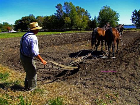 man plowing field  horses blue ridge christian news
