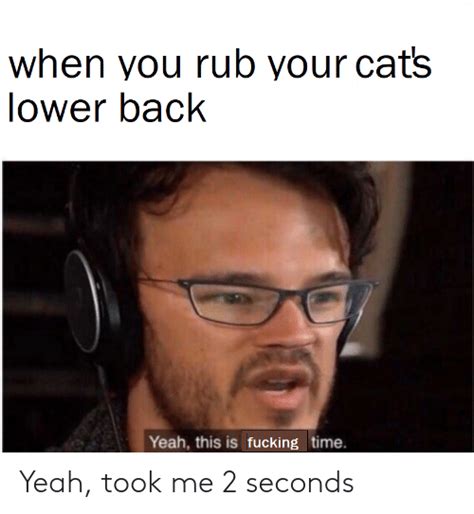 when you rub your cats lower back yeah this is fucking time yeah took