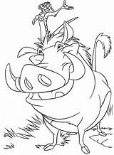 Coloring Timon Lion Pumbaa Pages King Drawing Mufasa Pumba Outline Zazu Disney Colouring Color Kiara Clipart Und Horse Getcolorings Printable sketch template