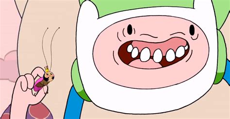 Image S1e25 Finn Holding Mini Queen Png Adventure Time
