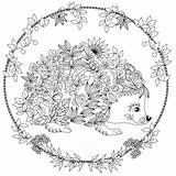 Colouring Igel Colorear Erwachsene Hedgehog Ausmalen Ausmalbild Zen sketch template