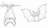 Bat Coloring Pages Cute Coloringbay sketch template