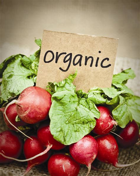 organic      agriculture  food