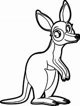 Kangaroo Marsupial Joey Getdrawings Designlooter Wecoloringpage sketch template