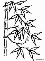 Bamboo Clip Coloring Pages Tree Svg Drawing Clipart Leaves Printable Palm Plant Chinese Kids Simple Clker Visit Recommended Tag Svgsilh sketch template