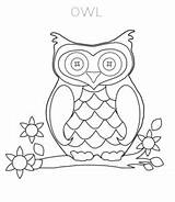 Coloring Owl Pages Sheet Eye Big sketch template