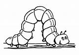 Worm Clipart Caterpillar Coloring Carle Eric Books Great Inchworm Printable Large sketch template