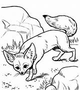 Fox Rocks sketch template