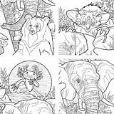 Animals Endangered Book Colouring Coloring Protect Extinct sketch template