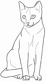 Katze Katzen Ausmalbilder Zeichnen Ausdrucken Ausmalen Dekoking Malvorlagen Süße Ausmalbild Behavior Meanings sketch template