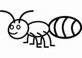 Formiga Hormigas Invertebrados Vertebrados Hormiga Facil Ant Infantiles Imagui Animadas Ants Hace Coloringcity sketch template