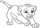 Leones Colorear Lionceau Impressionnant Gratistodo Coloreados Simba sketch template