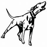 Dog Barking Drawing Hound Decals Hunting Coon Gun 1220 Decal Ark Noahs Getdrawings sketch template