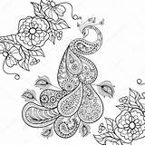 Coloring Pages Stress Peacock Zentangle Anti Totem Adult Vector Printable Flowersfor Illustration Paisley Sketch Doodle Therapy Drawing Stock Flowers Tattoo sketch template